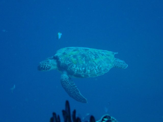foto 26.10.19 05 27 40